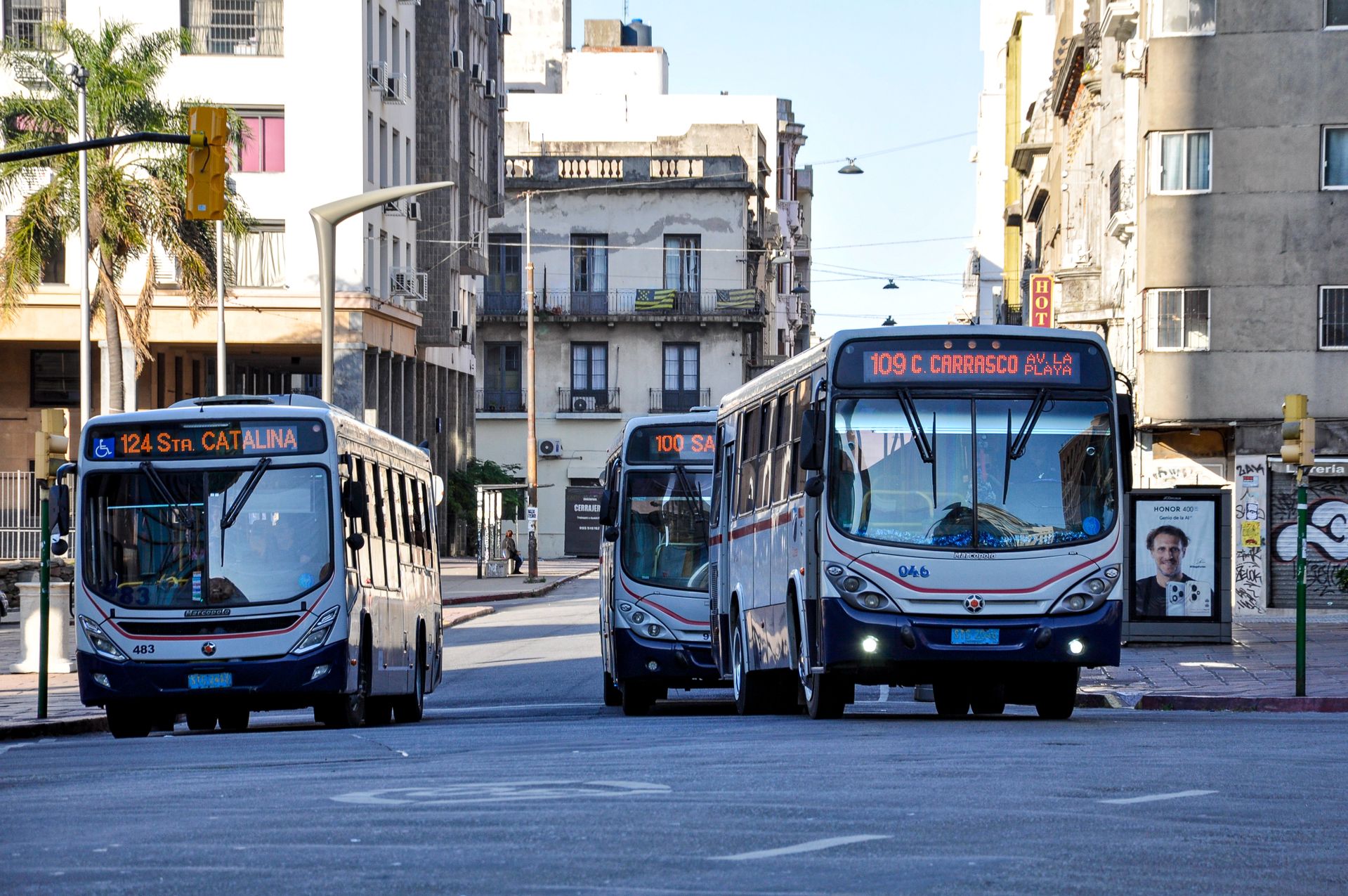 Guaguas urbanas — transporte profesional